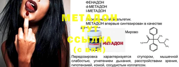 прущие грибы Абаза