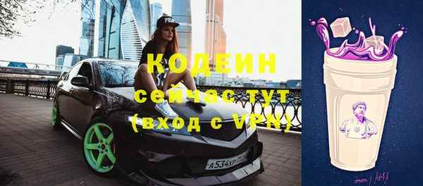 дживик Заводоуковск
