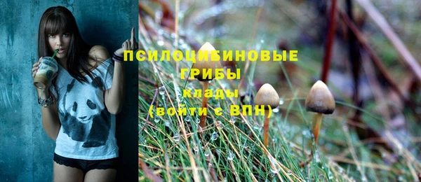 спиды Заволжье