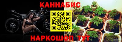 ПСИЛОЦИБИНОВЫЕ ГРИБЫ Лесосибирск