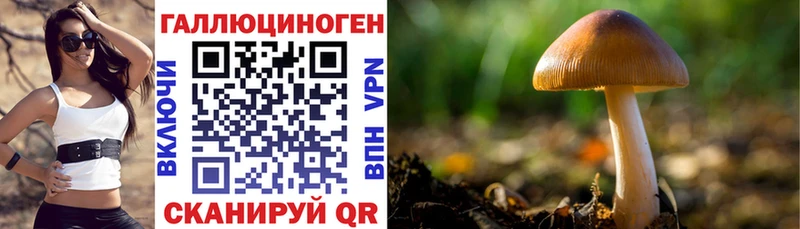 Псилоцибиновые грибы ЛСД  Губкин 