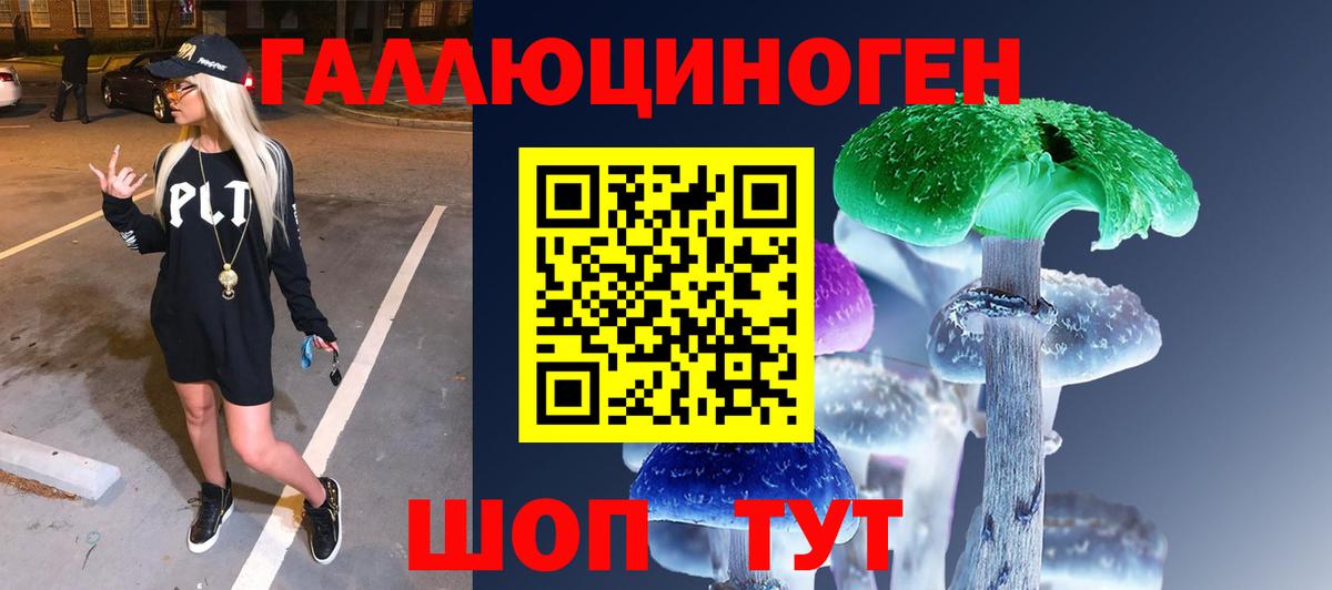 Галлюциногенные грибы прущие грибы Губкин