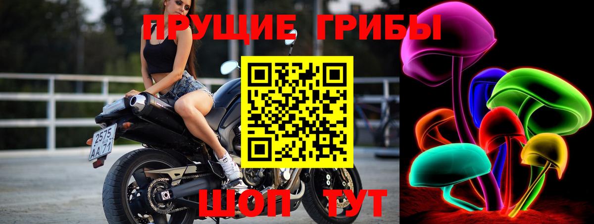 Псилоцибиновые грибы мицелий  Псилоцибиновые грибы ЛСД  Вход с VPN  Губкин 